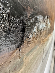 Bitumen